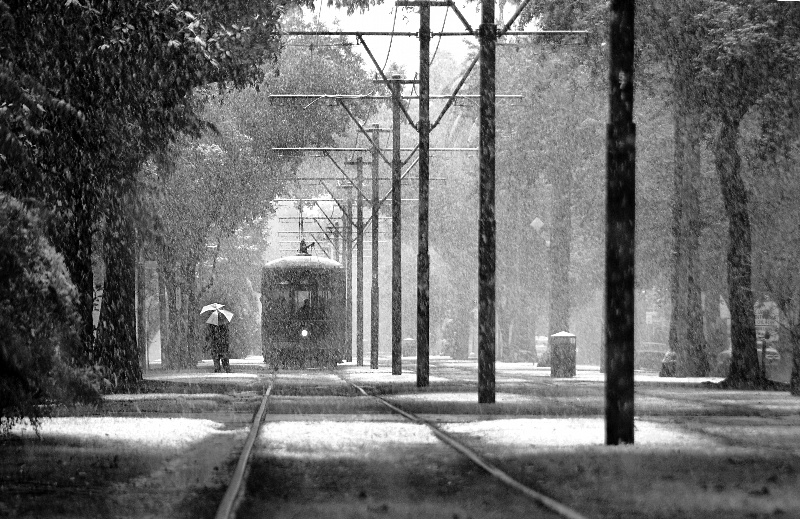 The streetcar/trolley travels along in New Orleans on a beautiful, beautiful winter day. Ah, the Land of Dreams...